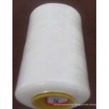 Spun Polyester for Sewing Thread (40s-2)